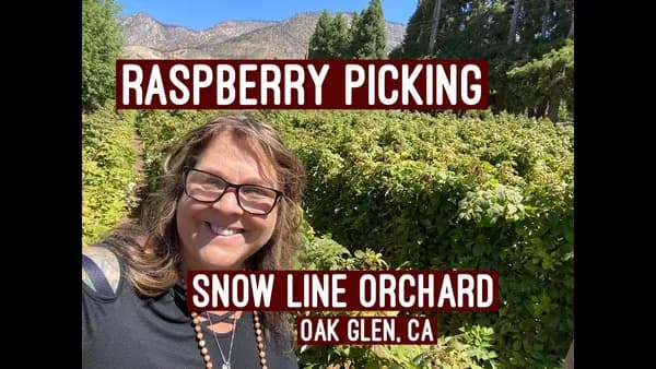 Unexpected Joys at Snow Line Orchard: More Than Just Apples and Donuts Cover